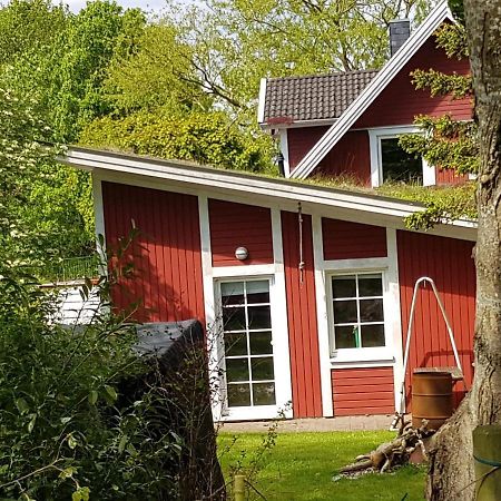 Ferienwohnung An der Schafsweide Aukrug Exterior foto